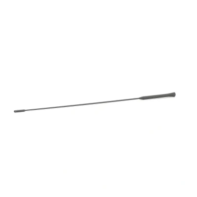 Afbeelding van AIC 53911 Antenne FORD: FIESTA 5, Focus Mk1 Hatchback, 6