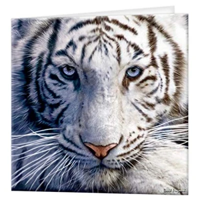 Afbeelding van 3D LiveLife Deluxebase Wenskaart Tiger wit kleurrijk voor elke gelegenheid en leeftijd Origineel gelicentieerd kunstwerk van de gerenommeerde kunstenaar David Penfound