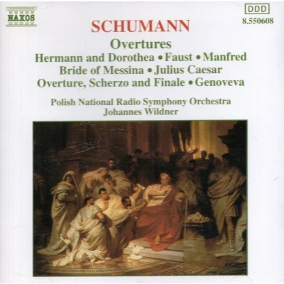 Afbeelding van Polish National Radio Symphony Orchestra &amp; Johannes Wildner Schumann: Overtures (CD)