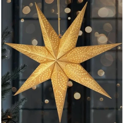 Afbeelding van BRUBAKER 60 cm Papieren Kerstster om op te Hangen LED Adventsster voor Kerstdecoratie en Raam 3D Ster met Timer Functie Hangende Lichtster Verlichtbaar Batterij Goud
