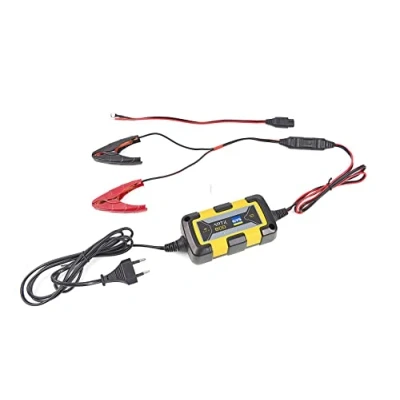 Afbeelding van GYS ARTIC 800 (12 V 0.8 A) acculader