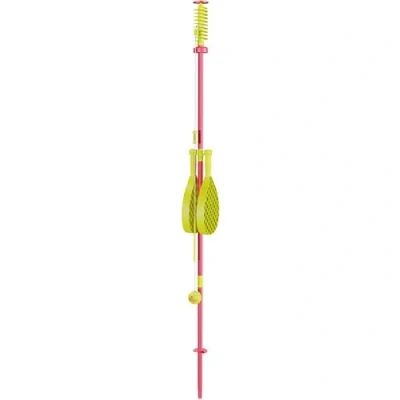 Image de Swingball Classic