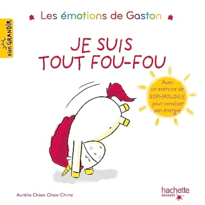 Afbeelding van GASTON JE SUIS TOUT FOU