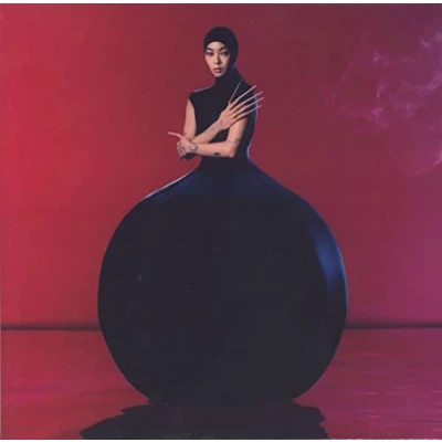 Afbeelding van Rina Sawayama Hold The Girl (LP)