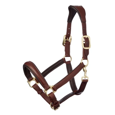 Image de LeMieux Licol Cuir Anatomique Marron Full