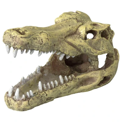 Afbeelding van Aqua Della Decor Schedel Krokodil S Small Aquarium Ornament 13.5x6.5x7.5 cm