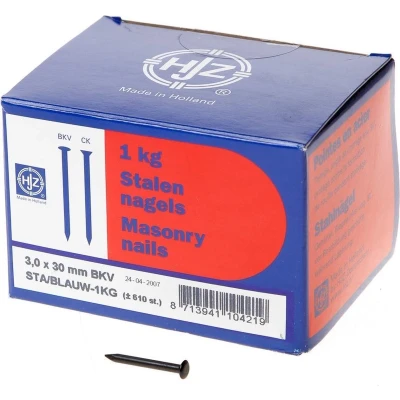 Afbeelding van Hjz Stalen nagel bombe kop blauw 30 x 3.0mm 1kg