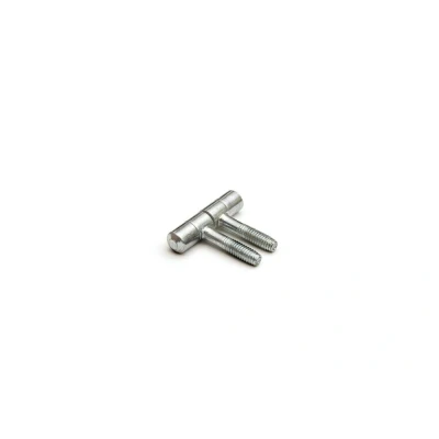 Afbeelding van Inboorpaumelle voor kastdeuren 40x11 mm