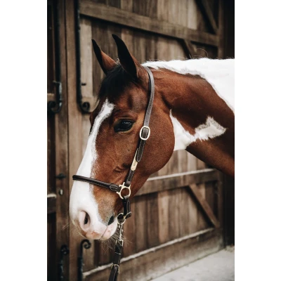 Image de Kentucky Licol Leather Grooming Full