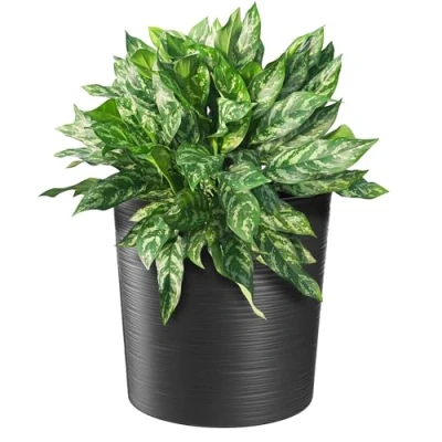 Afbeelding van KADAX Elegante bloempot met inzet, tuinpot, bescherming voor woonkamer, kantoor, grafiet, diameter 25 cm