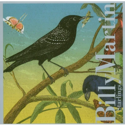 Afbeelding van Starlings