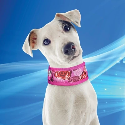 Afbeelding van Aqua Coolkeeper Koelhalsband Roses