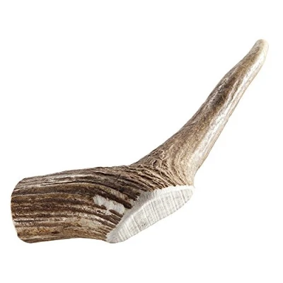 Afbeelding van Chewies Edelherten Gewei Stang S 80 gr