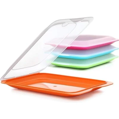 Afbeelding van TATAY Fresh worstdoos, BPA vrij, herbruikbaar, stapelbaar, vaatwasser en magnetronbestendig, verschillende kleuren. 1 stuk. Afmetingen 17 x 3,2 25,2 cm