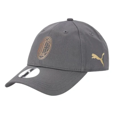 Afbeelding van AC Milan cap Puma grijs