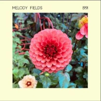 Afbeelding van Melody Fields 1991 (LP)
