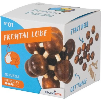 Afbeelding van Frontal Lobe, Brainpuzzel 1 Recent