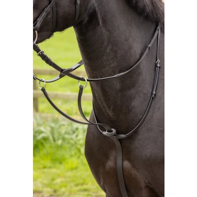 Image de LeMieux Martingale Arika Running Noir/Argent Full