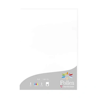 Image de Etui de 50 feuilles Pollen A4 Blanc 160g