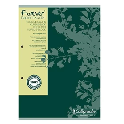 Afbeelding van Cursusblok Clairfontaine Forever Calligraphe A4 2 gaats lijn 100 vel 70gr groen