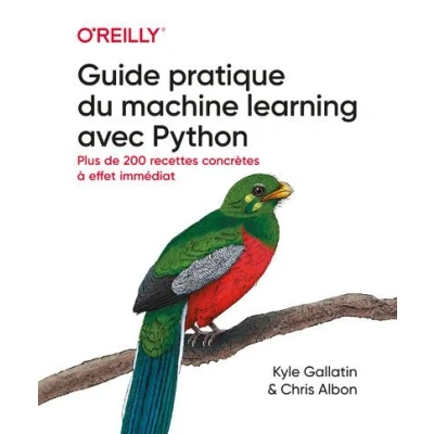Image de Guide pratique du machine learning avec Python