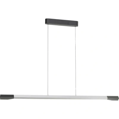 Afbeelding van Paul Neuhaus LED hanglamp Hoop, aluminiumkleurig, 128 cm, dimbaar