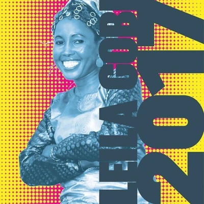 Afbeelding van Leila Gobi 2017 (LP)