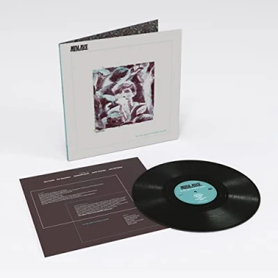 Afbeelding van Midlake For the Sake of Bethel Woods (LP)