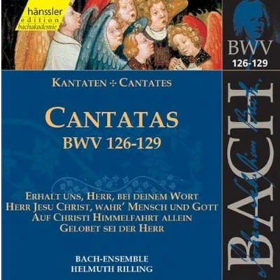 Afbeelding van Bach Ensemble, Helmuth Rilling J.S. Bach: Cantatas Bwv 126 129 (CD)