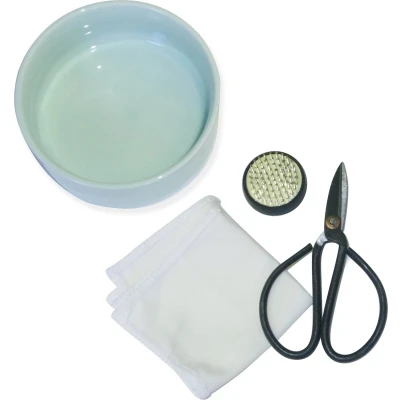 Afbeelding van Mini Ikebana Set