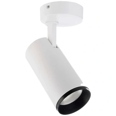 Afbeelding van LED plafondspot Lucea, verstelbaar, 20 W wit