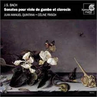 Afbeelding van Viola Da Gamba Sonatas