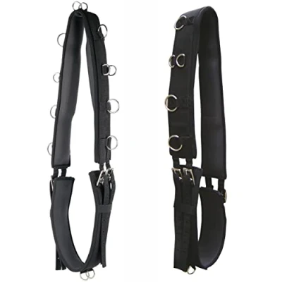 Image de Harry&#039;s Horse Surfaix de Longe Néoprène Noir Poney
