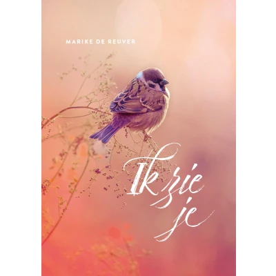 Afbeelding van Ik zie je