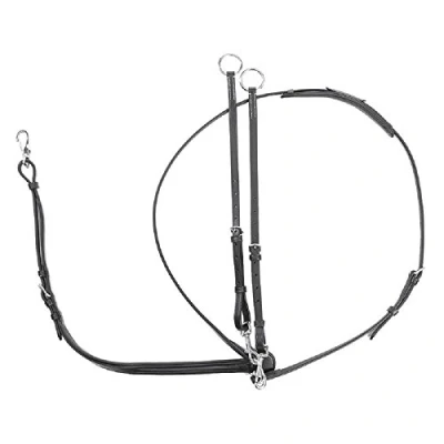 Image de Kavalkade Martingale Solid