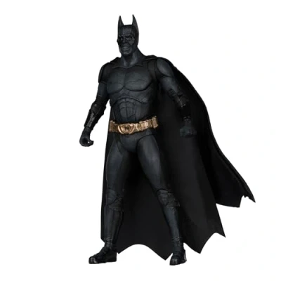 Afbeelding van McFarlane Batman Begins DC Multiverse figuur (Gold Label), 18 cm