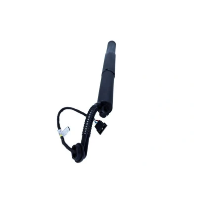 Afbeelding van Gasveer, legbodem (Koffer /Laadruimte) MAXGEAR 12 2545