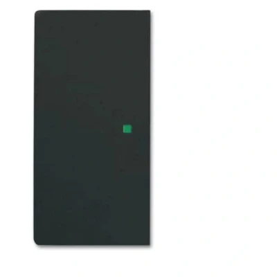 Afbeelding van ABB Busch Jaeger FreeAtHome Bedieningselement/Centrale Plaat Schakelmateriaal 2CKA006220A0503 E28FN