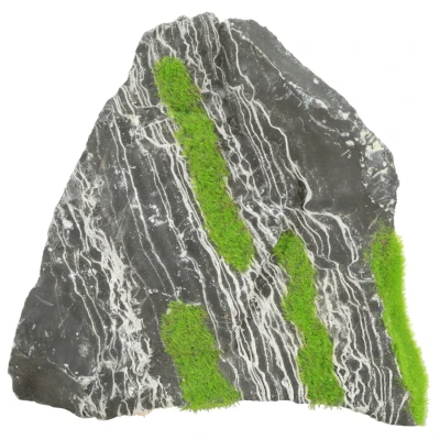 Afbeelding van Zolux Groeiend Decor Steen M Aquarium Ornament 10.8x16.4x7.2 cm Twee Kleuren