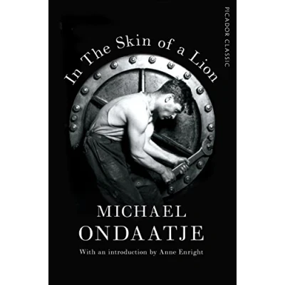 Afbeelding van In the Skin of a Lion