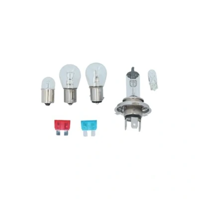 Afbeelding van Carpoint 7 Delige Reservelampenset H4 0725001
