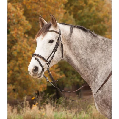 Afbeelding van Star Trenshoofdstel Diamond Engels Combi Bruin/Goud Full