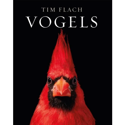 Afbeelding van Vogels