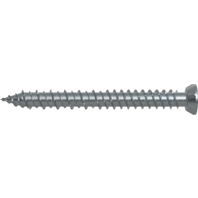 Afbeelding van Fischer 532946 Windowframe screw 7.5 mm 302 Binnen T, Interne vertanding, TX, Torx, T profiel Staal Galvanisch verzinkt 100 stuk(s)