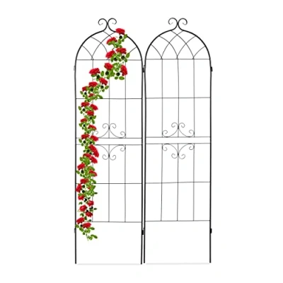Afbeelding van Relaxdays plantensteun set van 2 plantenklimrek 180 x 50 cm metaal zwart