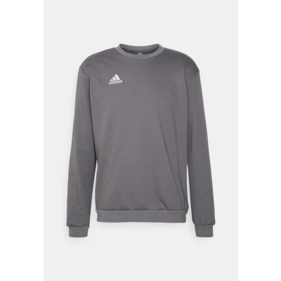 Afbeelding van adidas Entrada 22 sweatshirt met lange mouwen voor heren.