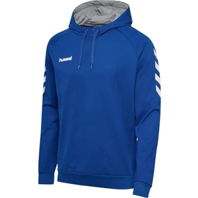 Afbeelding van Hummel Hmlgo Hoodie, Heren, Maat: XXL, Blue