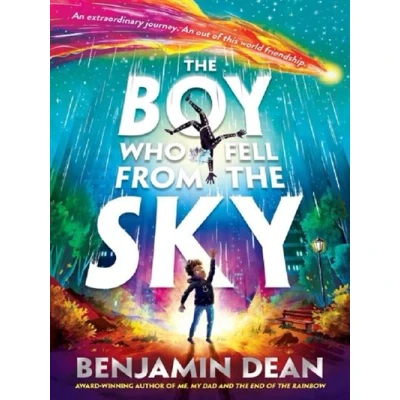 Image de the Boy Who Fell From Sky