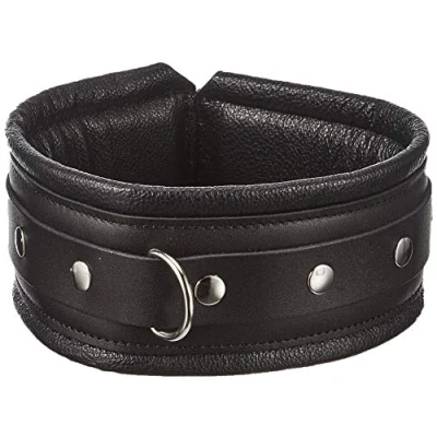Afbeelding van Brede en gevoerde leren collar met D ring zwart maat S/M