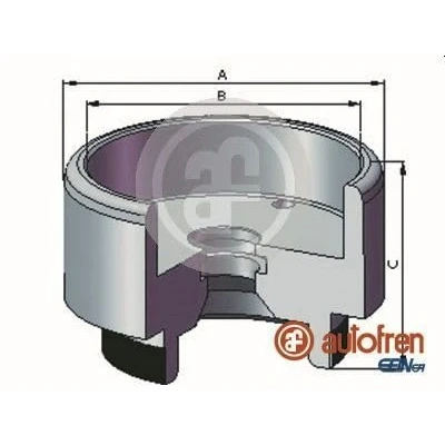 Afbeelding van AUTOFREN SEINSA D025721 Zuiger, remklauw 54 Vooras Trw